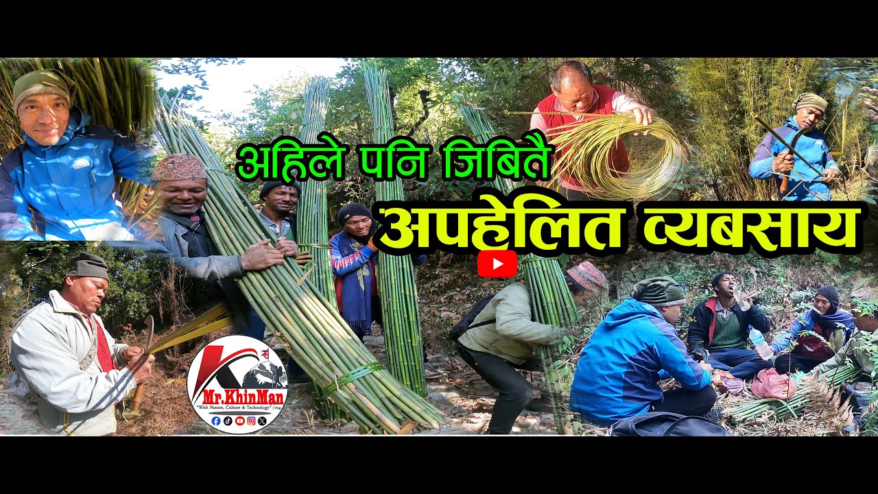 विचरा ! निगालो काट्दै बितेको एक दिन ।। जंगल, पसिना र जीवन | निगालो काट्ने कथा । प्राकृतिक जीवन