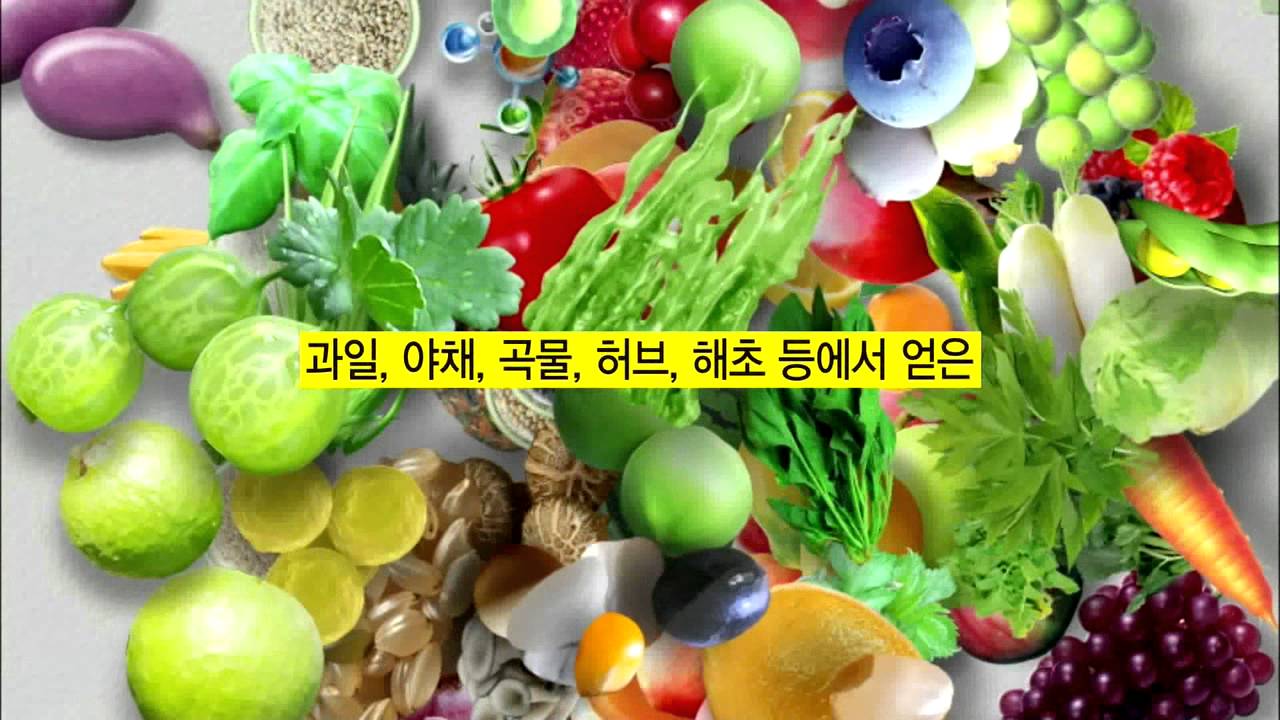 [네이처스플러스] 소스오브라이프 맨&우먼