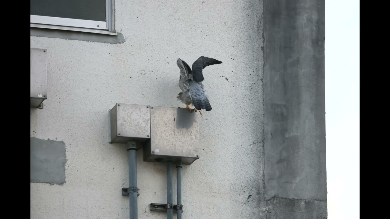 飛び出し💕