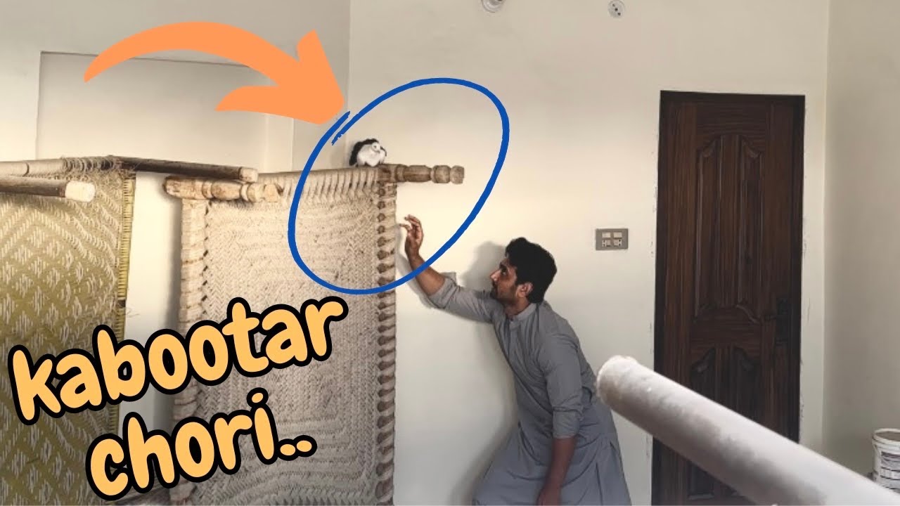Kabootar chori FAILED attempt 😳| Hath se nikal gya 😃| Shoday Showbaz 👨&zwj;👨&zwj;👧&zwj;👦