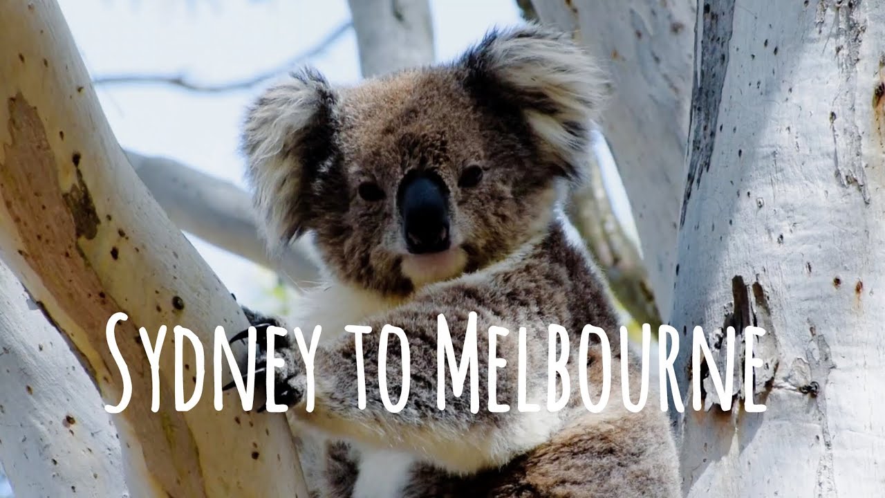 Sydney To Melbourne - Road trip