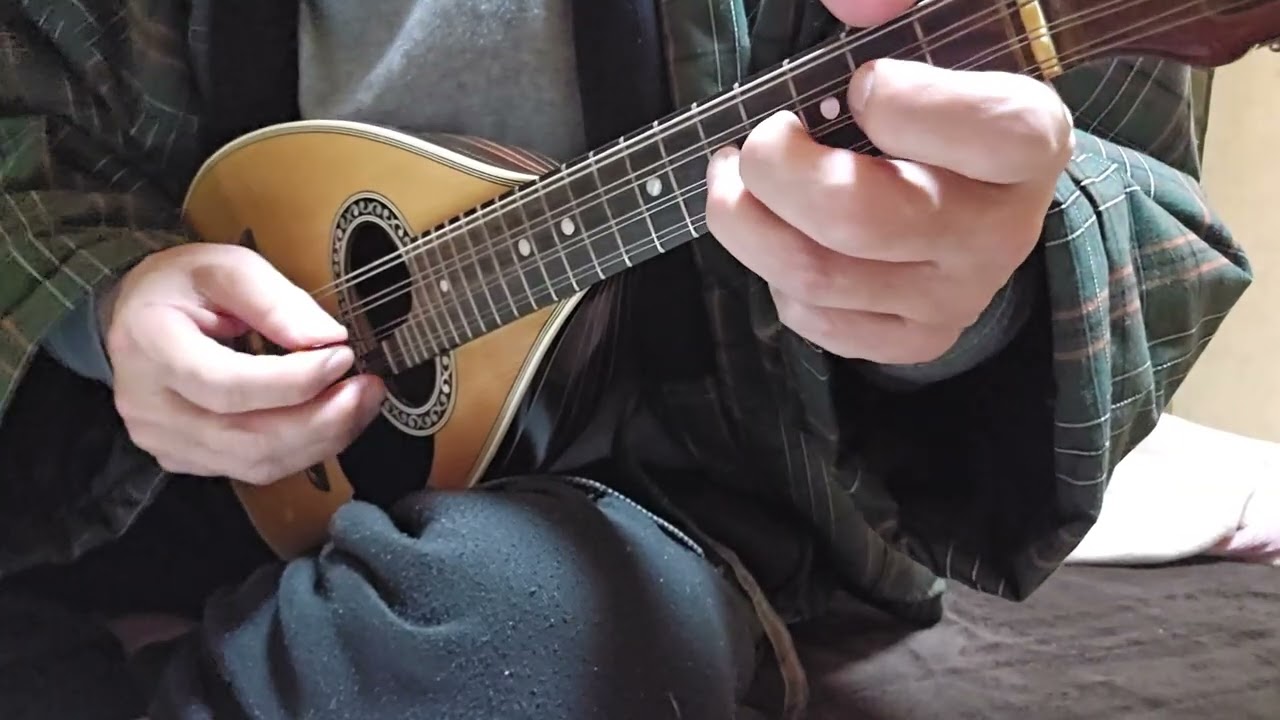Karaté/Egberto Gismonti/mandolin(マンドリン)