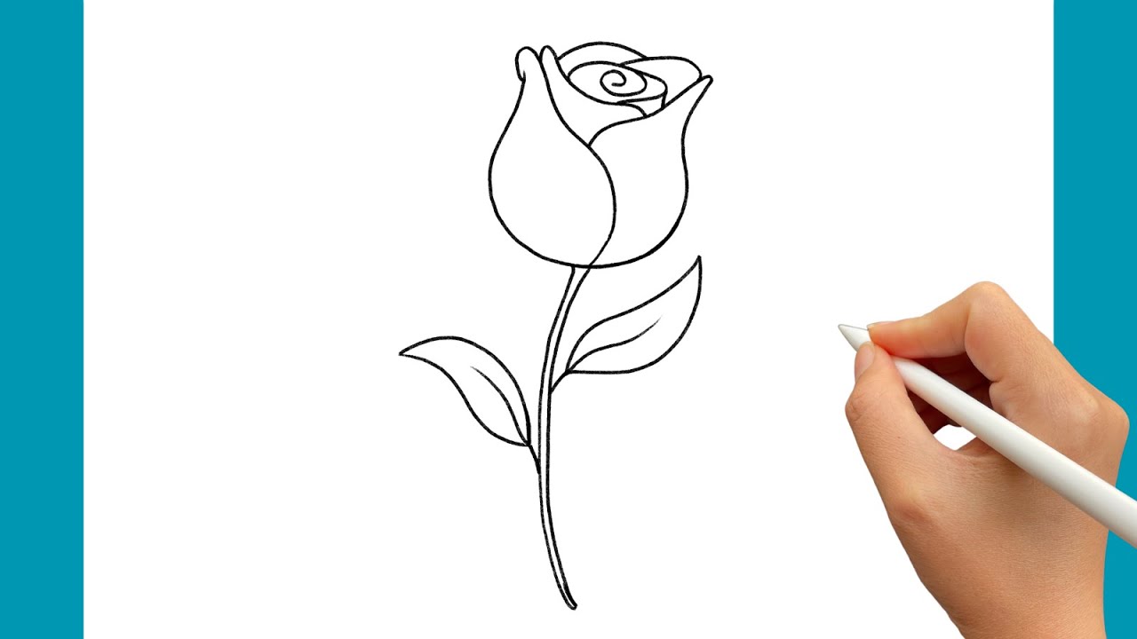 COMO DESENHAR UMA ROSA SIMPLES PASSO A PASSO