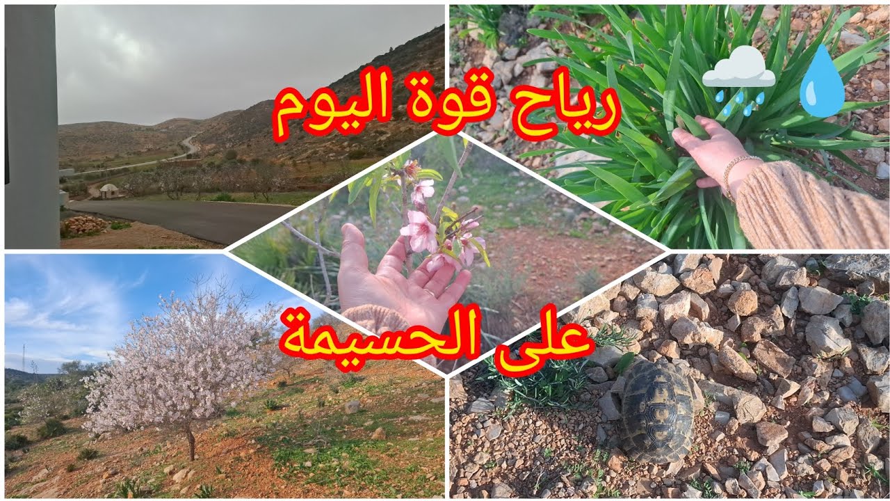 عاصفة قوية وامطار بالمدينة الحسيمة  🌧🌊 2\2\2026