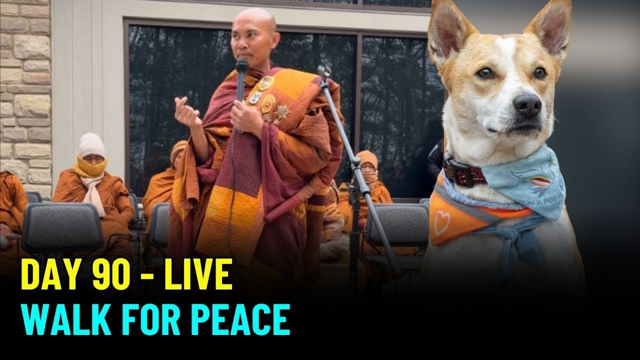 🔴 Livestream: Peace Sharing Talk at Jordan Lake State Recreation Area in Apex, NC on Day 90