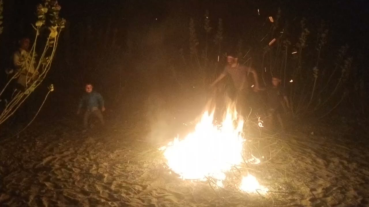 होली दा