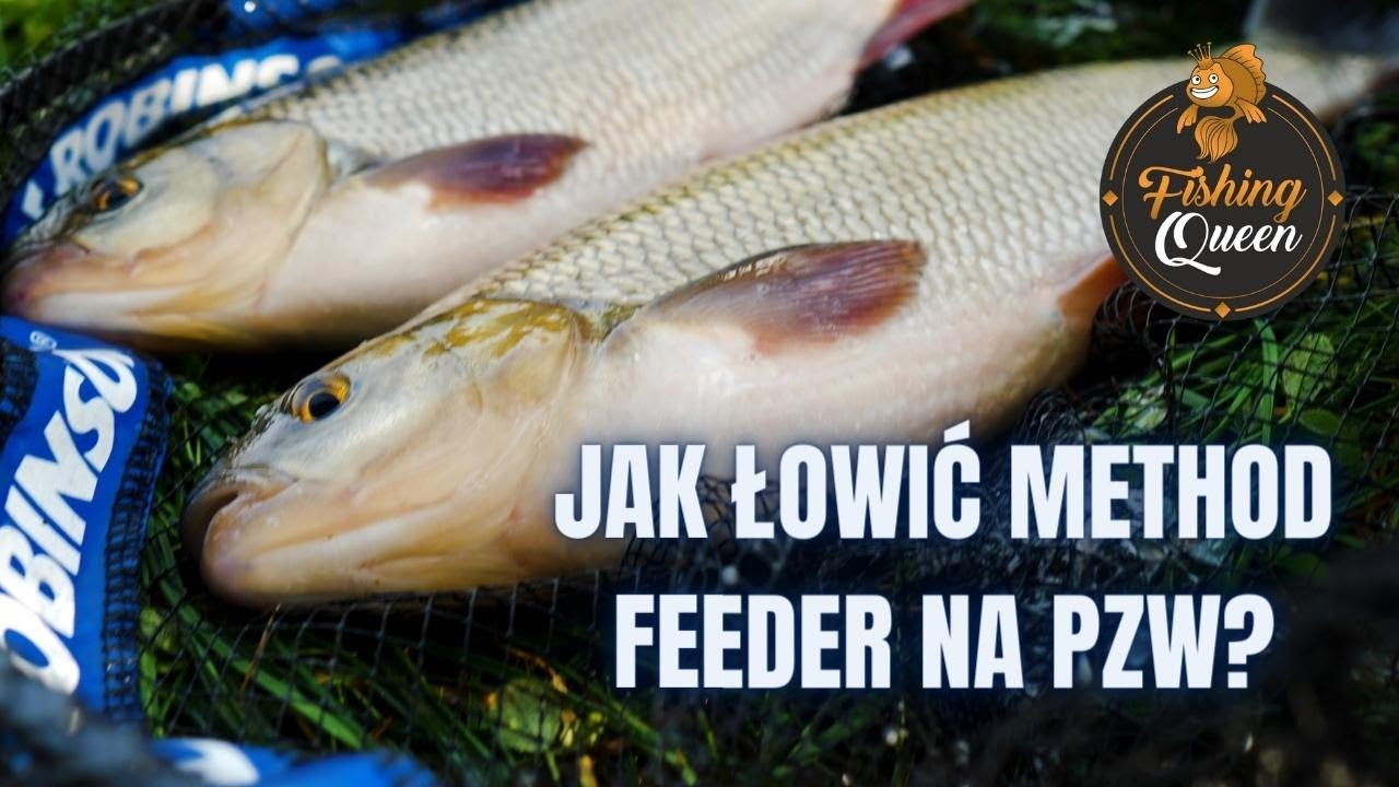 Method Feeder na PZW - czy to możliwe? Jak przygotować się do łowienia