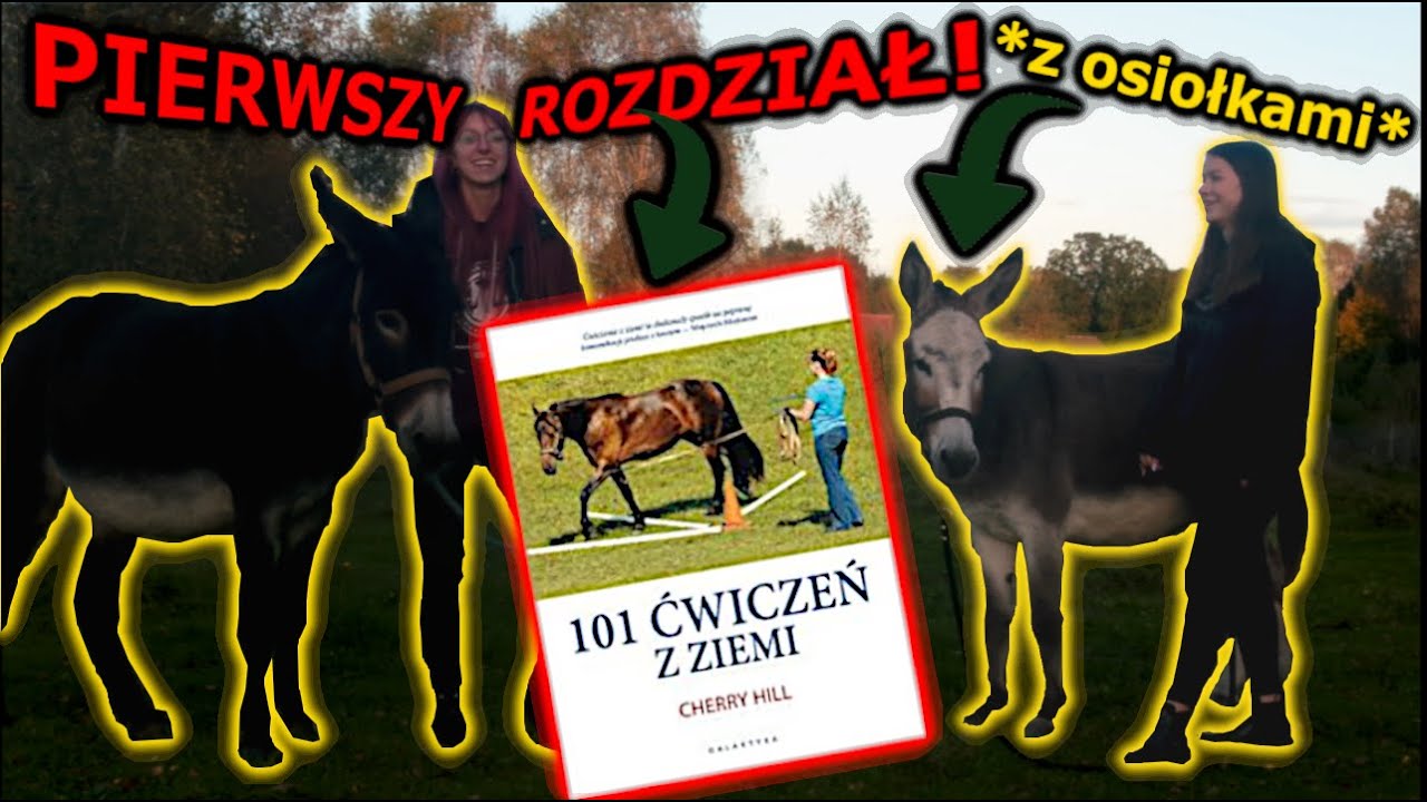 ODTWARZAMY ĆWICZENIA Z KSIĄŻKI „101 ćwiczeń z ziemi”! 😱😍