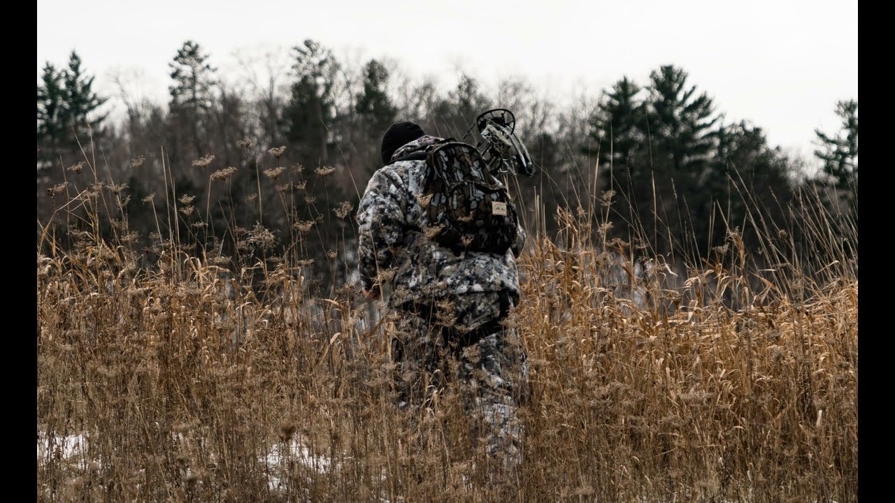 What Time To Access Your Deer Stand In The Morning