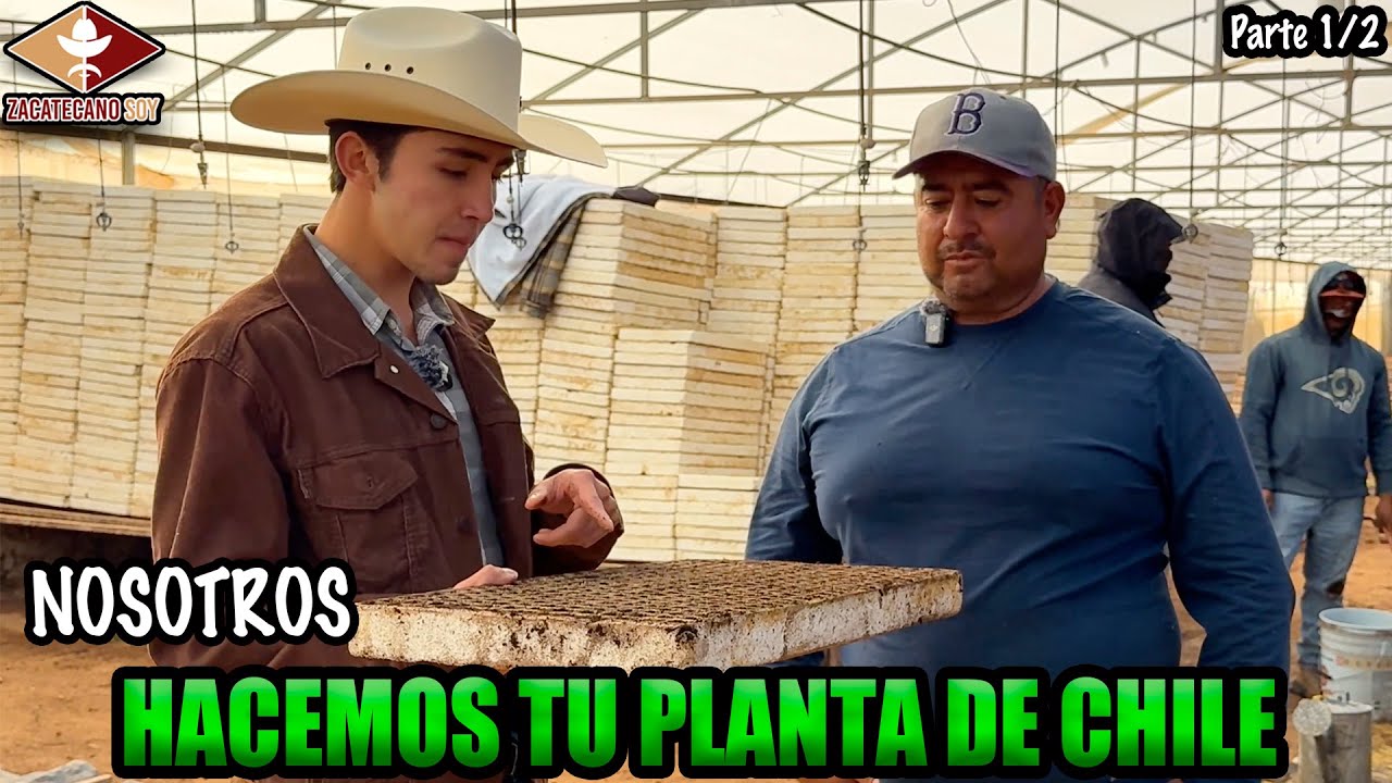 EL CAMPO ES UN CAOS ESTÁ TEMPORADA se ven los estragos del 2025