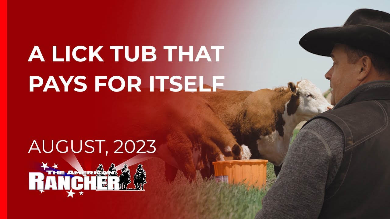 RioMax Hay and Forage Saving Tubs - The American Rancher - 08-14-2023