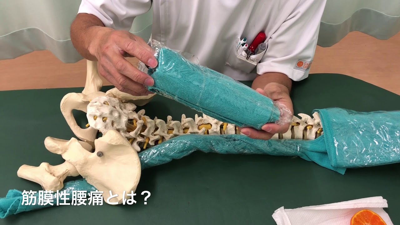 筋膜性腰痛とは　東広島の整体　ボディバランス整骨院