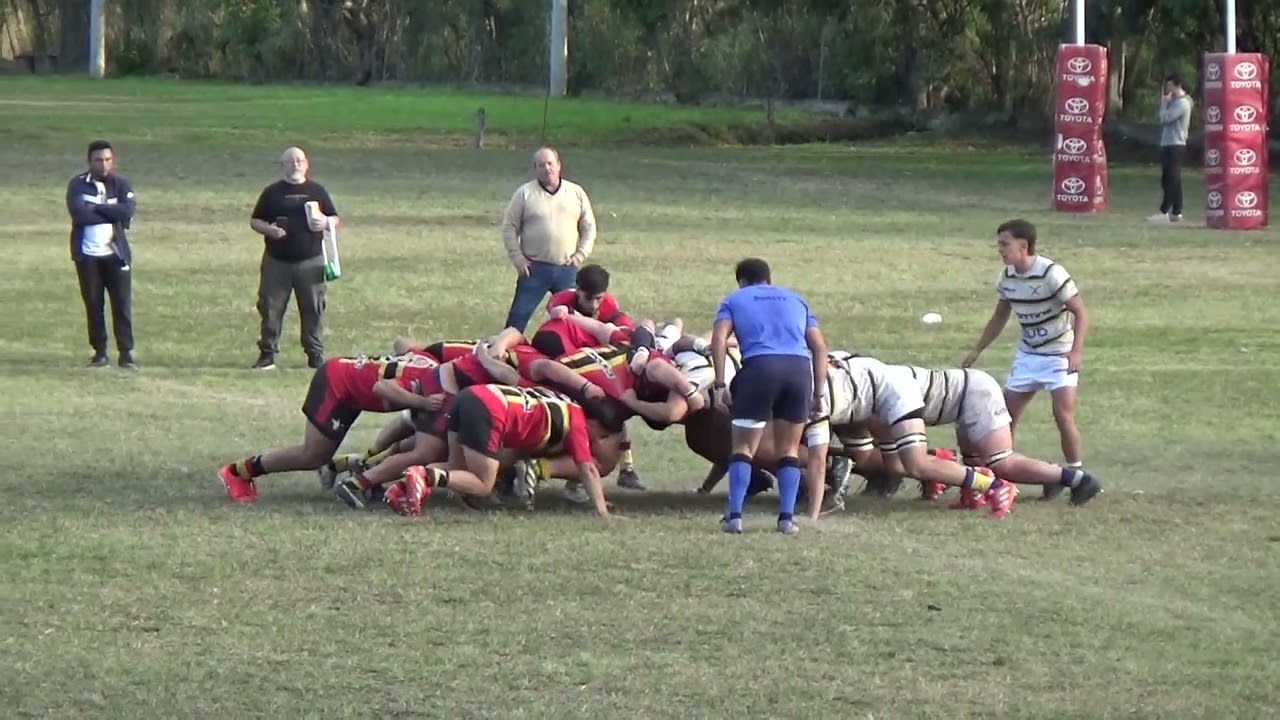 M19 TLTC 2025- Highlights