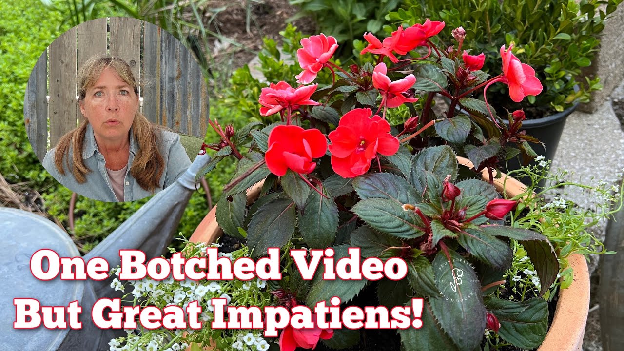 Container Gardening: How to Plant SunPatiens & SuperTunias for Summer! | Flower Patch
