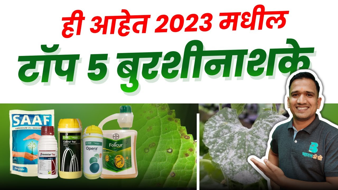 top 5 burshi nashak | top 5 fungicides