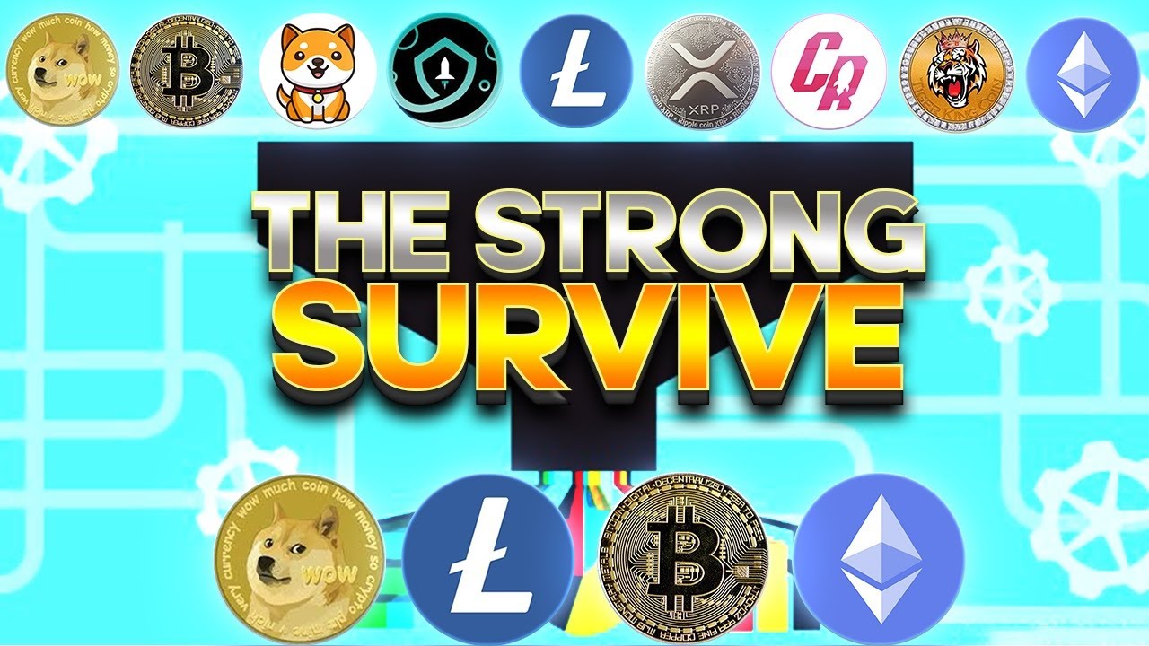 Dogecoin's Future | The Consolidation Of The Crypto Market | Dogecoin Prediction