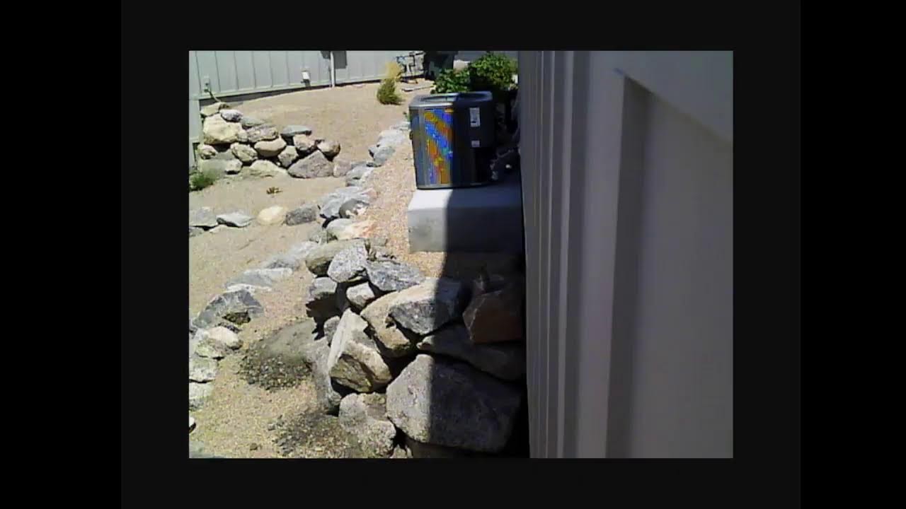 Stephen Callaway Live Stream