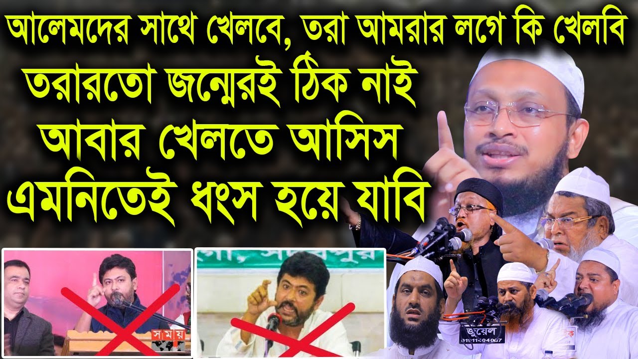 তরারতো জন্মের ঠিক নাই , আবার আসিস আলেমদের সাথে খেলতে ।। আল্লামা সাখাওয়াত হোসেন রাজি ।। Bangla waz