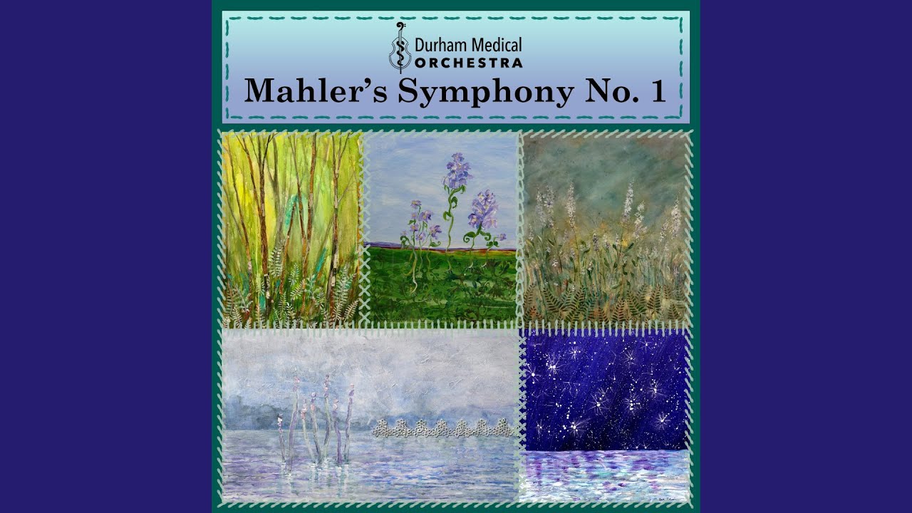 DMO - Durham Medical Orchestra Fall Concert