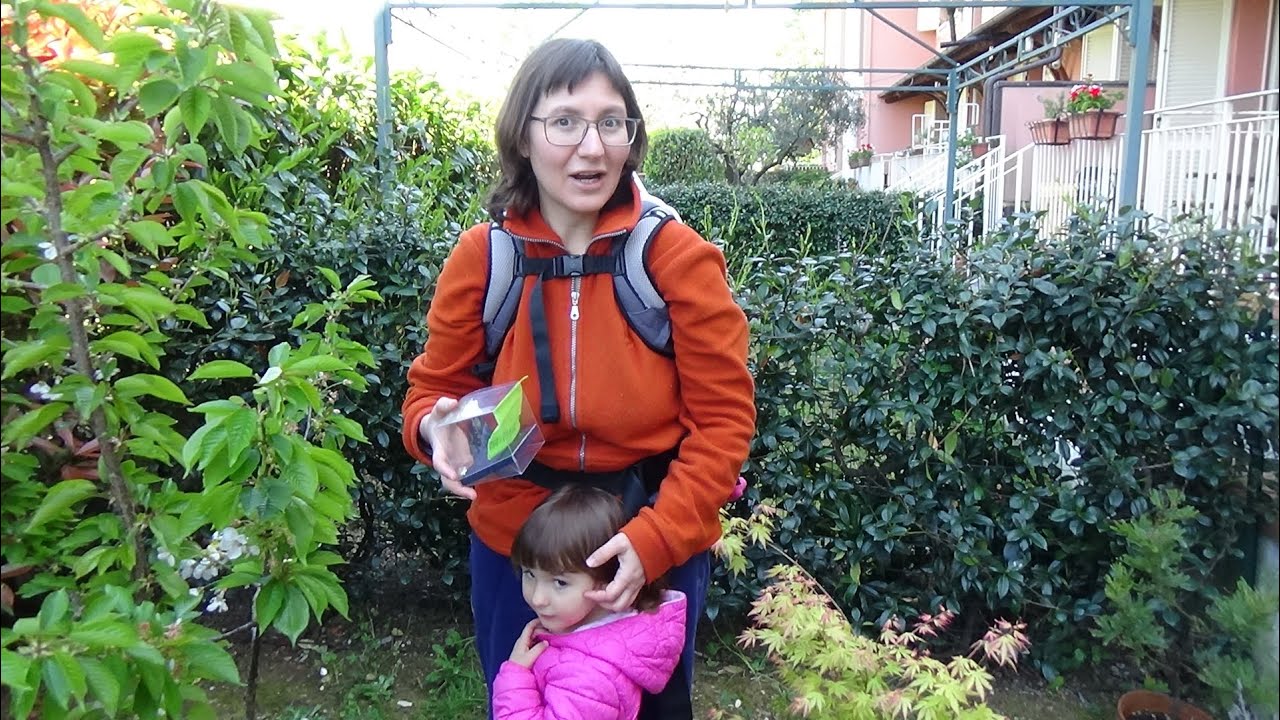 Abbiamo allevato farfalle con il kit di Smart Bugs!