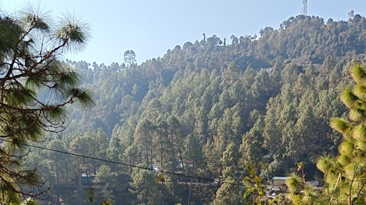 nai Tehri se Man surkanda Devi ke mandir Tak ka live telecast