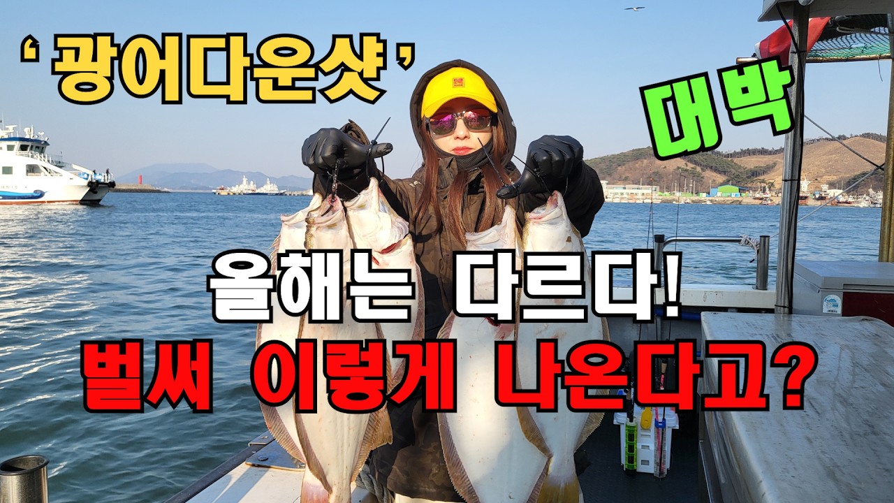 서해 광어다운샷 시즌 시작인가? 마릿수가 나옵니다!!  ( 대천 제우스호 )