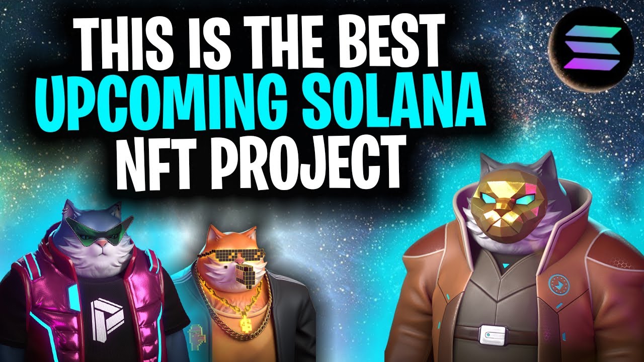 BEST UPCOMING SOLANA NFT PROJECT! (CatPunk Sol NFT Overview)