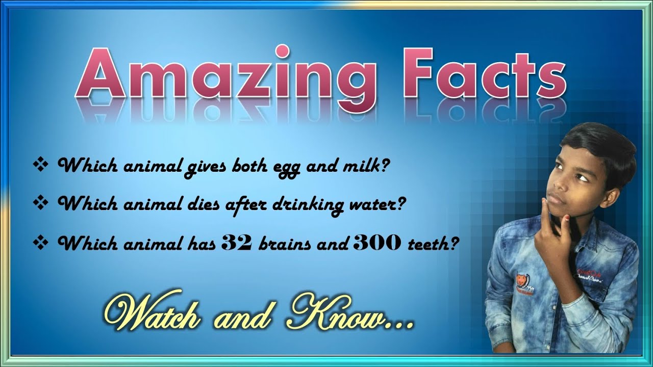 Amazing Facts in the World ll Interesting Facts ll Educational Facts ll Unbelievable Wonders ll