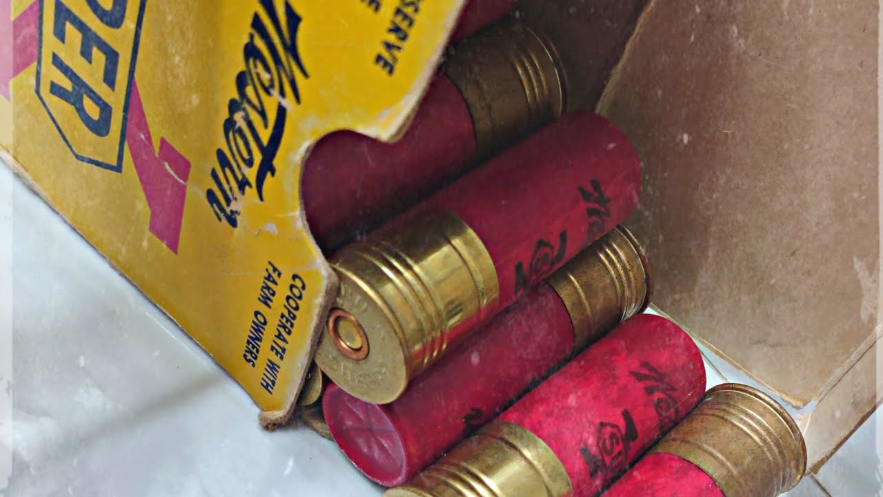 Antique Shot Gun Shells!(Winchester Super X)
