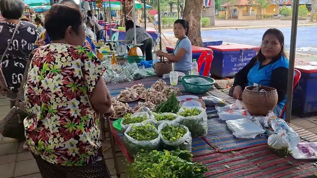 หลังจากฝนตก‼️อึ่งอ่างเริ่มออกแล้ว ตลาดของป่าริมโขงด่านดอกจาน อำเภอเขมราฐ จังหวัดอุบลราชธานี