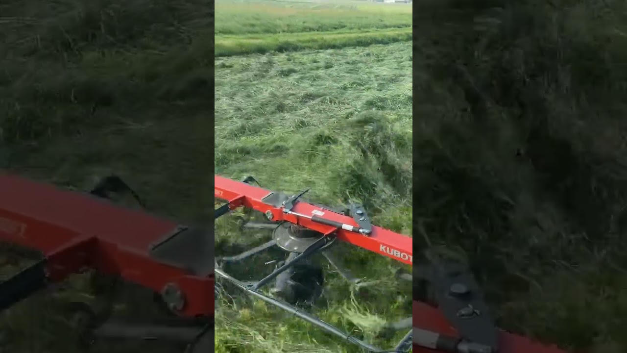 Tedding the grass. #goldentrackfarms #balinghay #kubota #rental