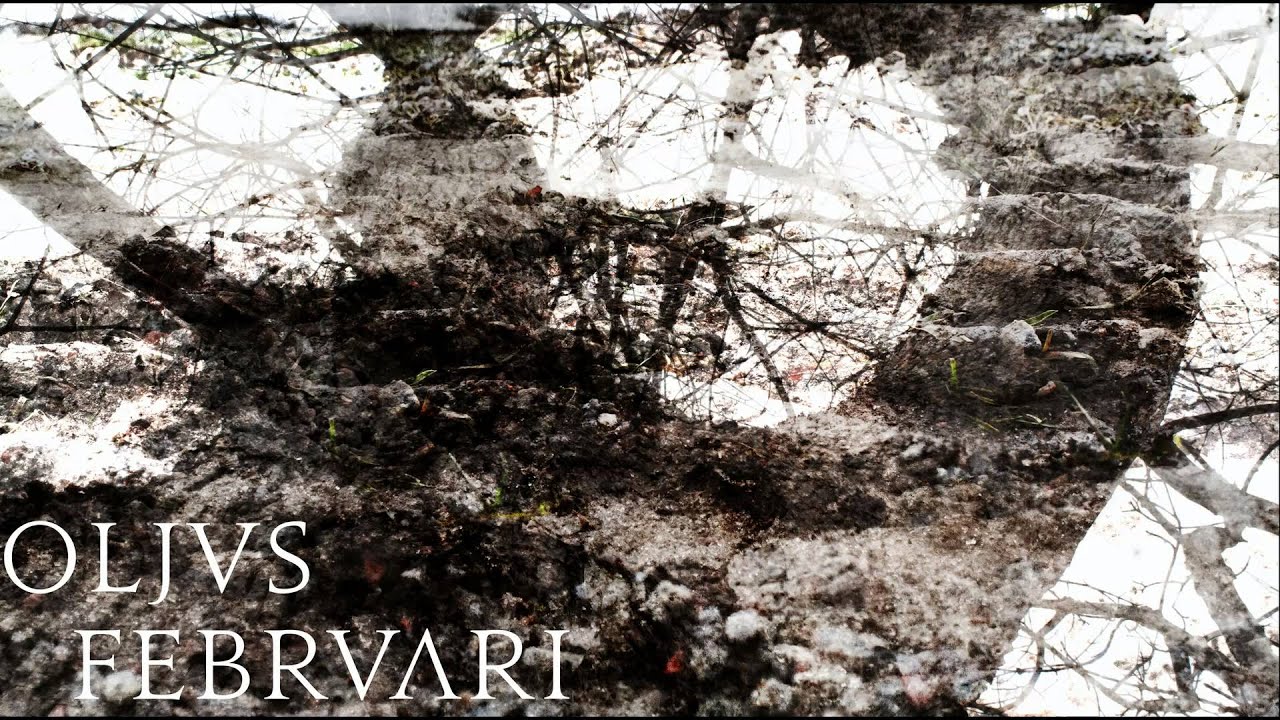 Oljus - Februari [MMXV]