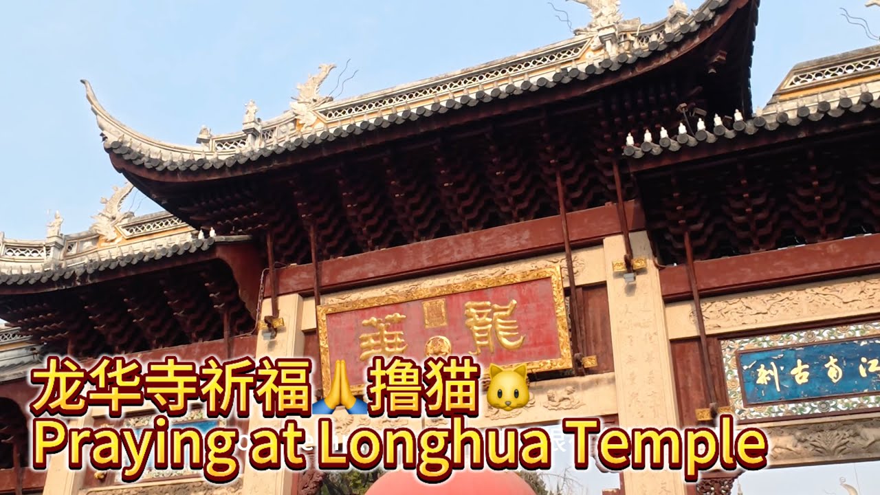 生活Vlog｜在龙华寺撸猫 跟朋友们一起新年祈福 Petting cats at Longhua Temple while praying for blessings
