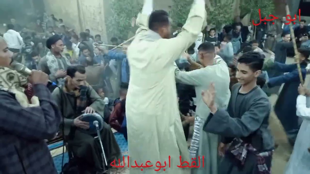 القط ابوعبدالله رقص على الرباب