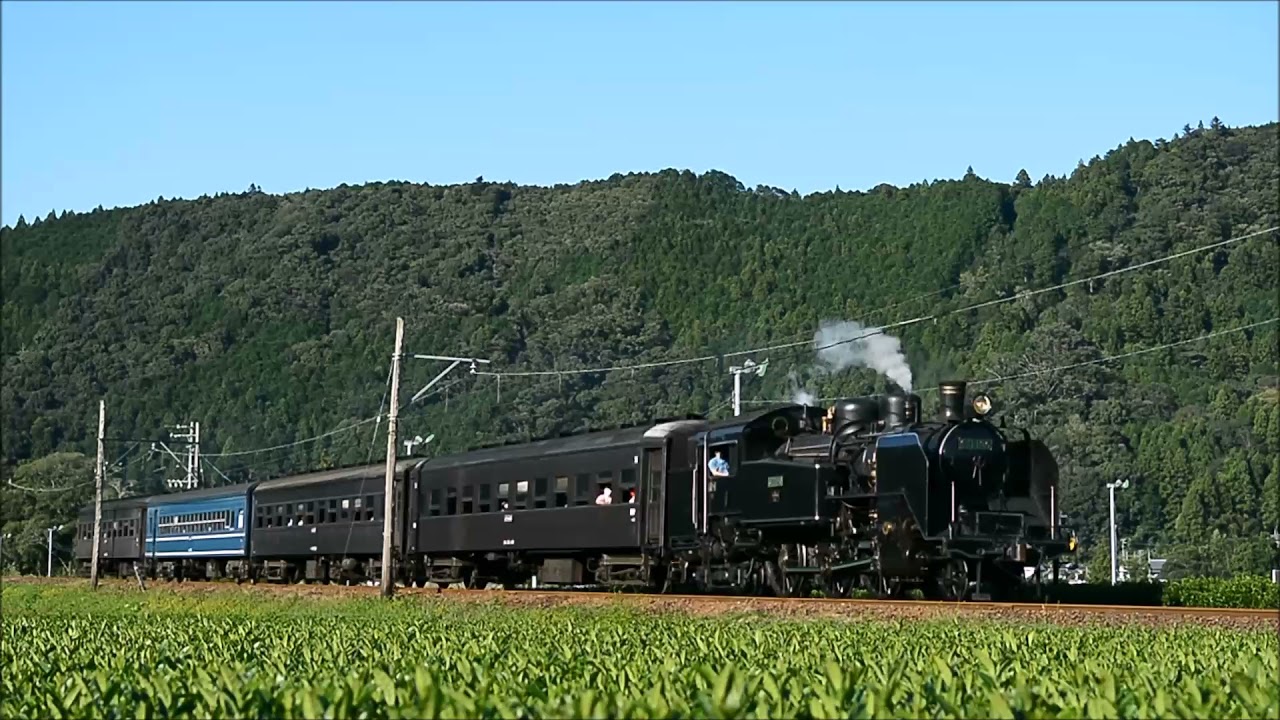 【大井川鐵道】C11-190号機 かわね路号