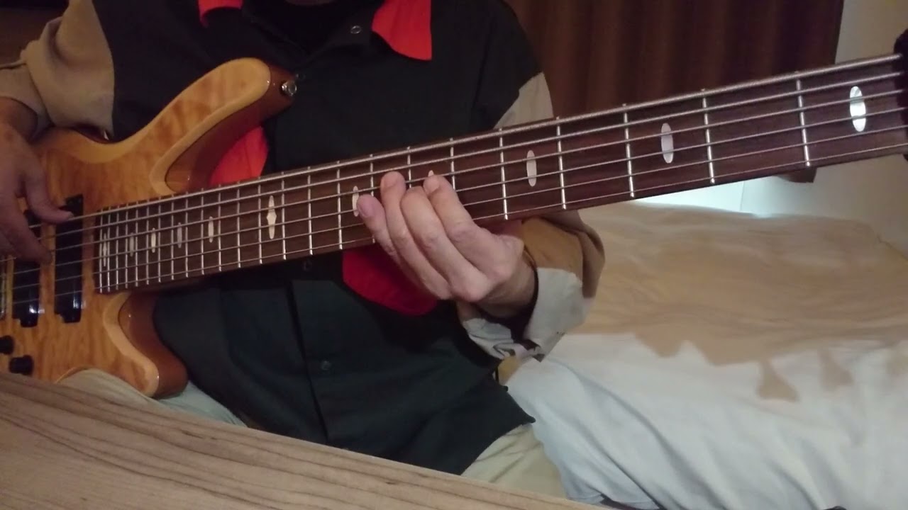 Fiona Apple - Fast As You Can (Bass Cover)