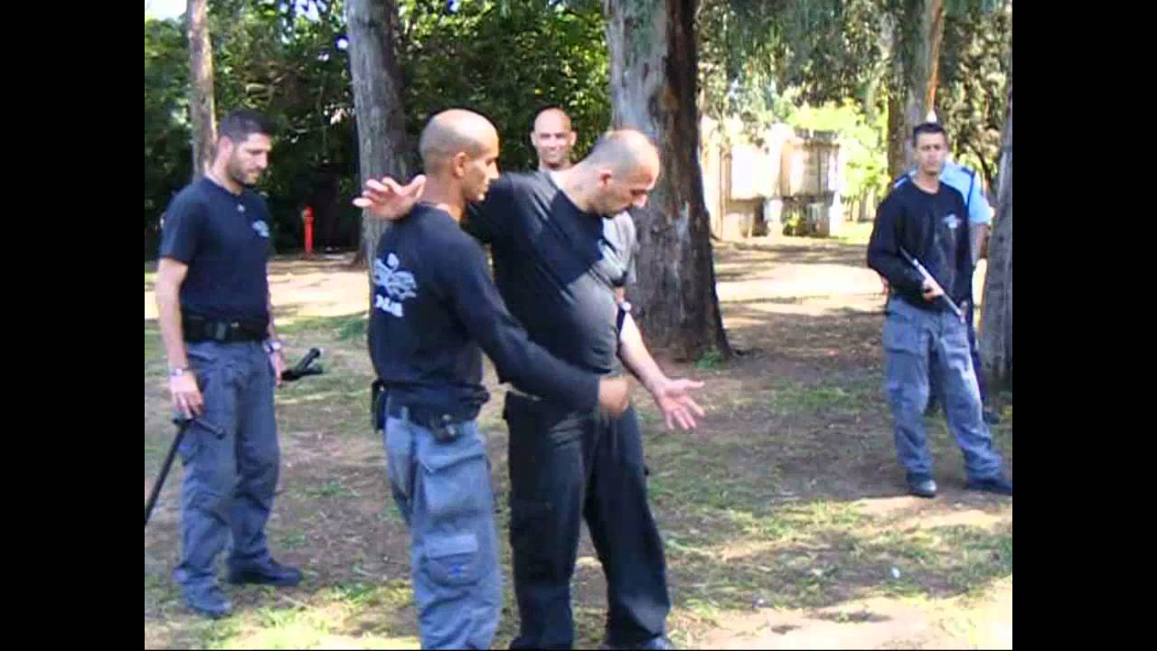 master david haliva - walk of life