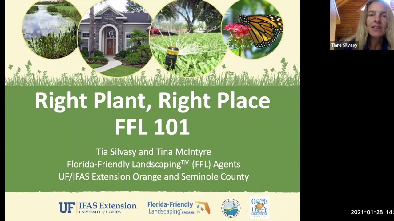 Right Plant, Right Place: Florida-Friendly Landscaping 101