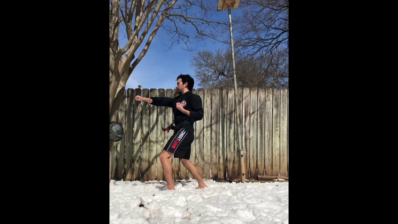 Playing Kata in the Snow #shorts