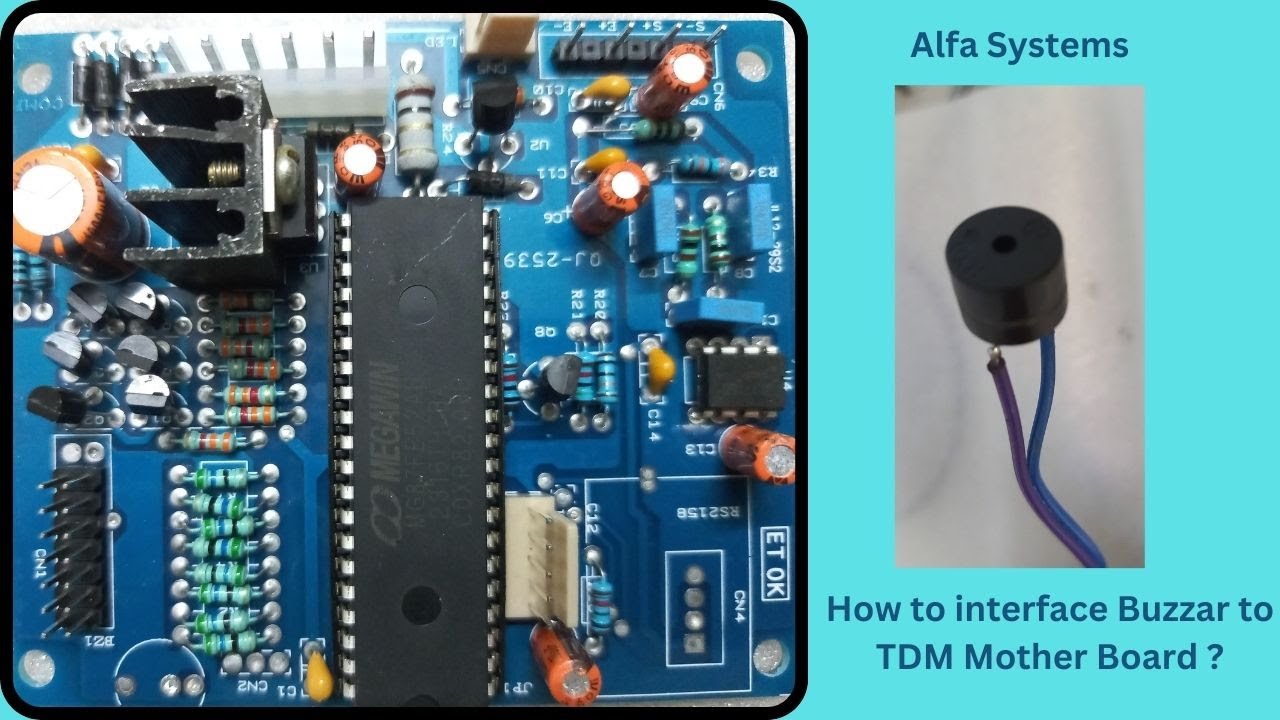 TDM WEIGHING SCALE MOTHERBOARD , HOW TO INTERFACE BUZZER?