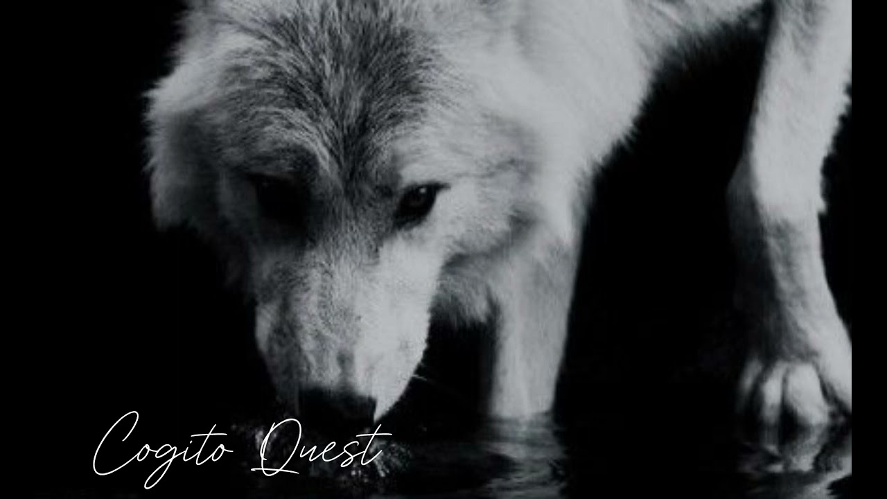 2CELLOS &ndash; Game of Thrones (slowed & reverb)