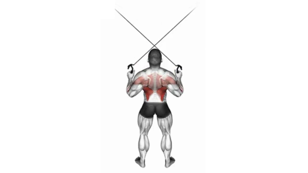 Dorsais - Pulldown crossover cruzado