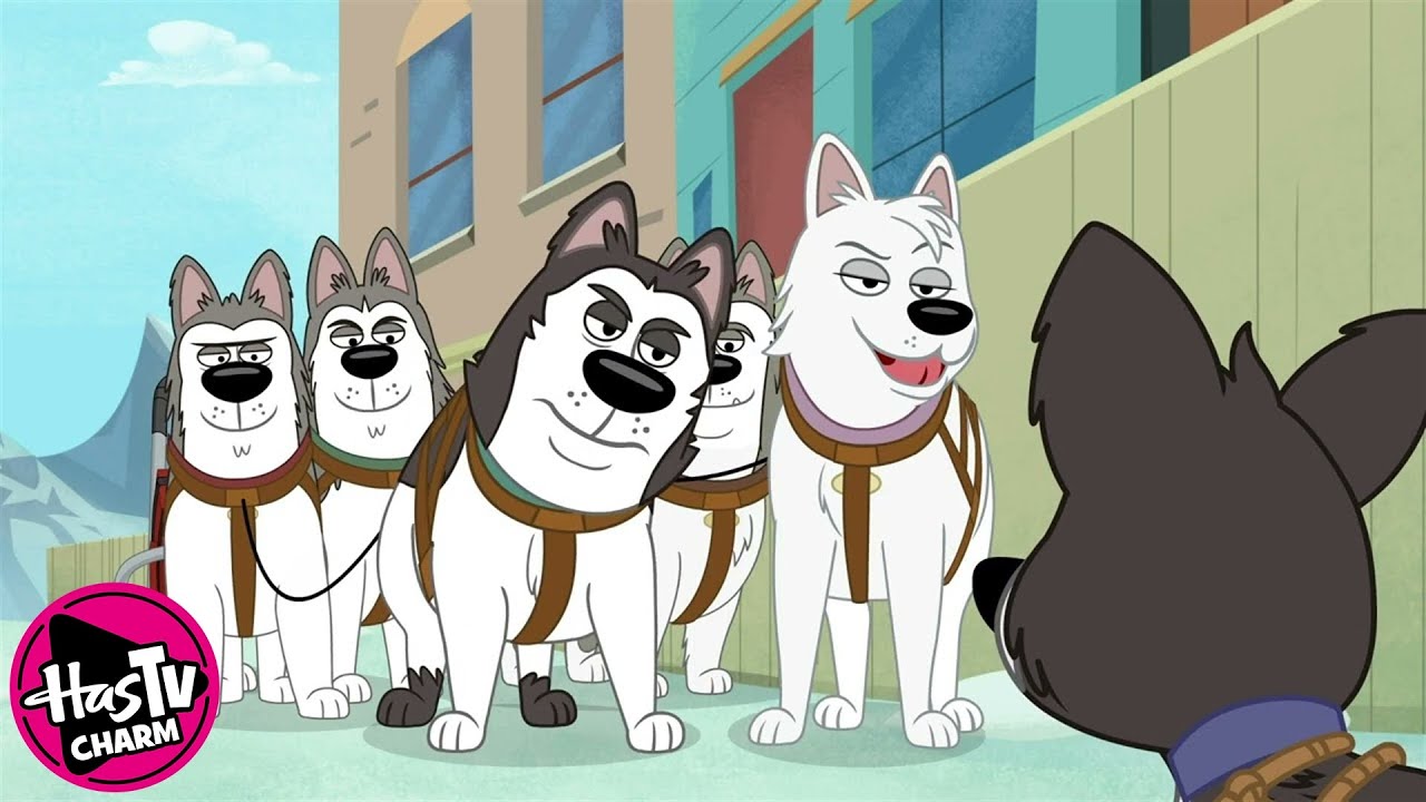 Pound Puppies | Snow Problem | Season 1 ✨ HasTV Charm