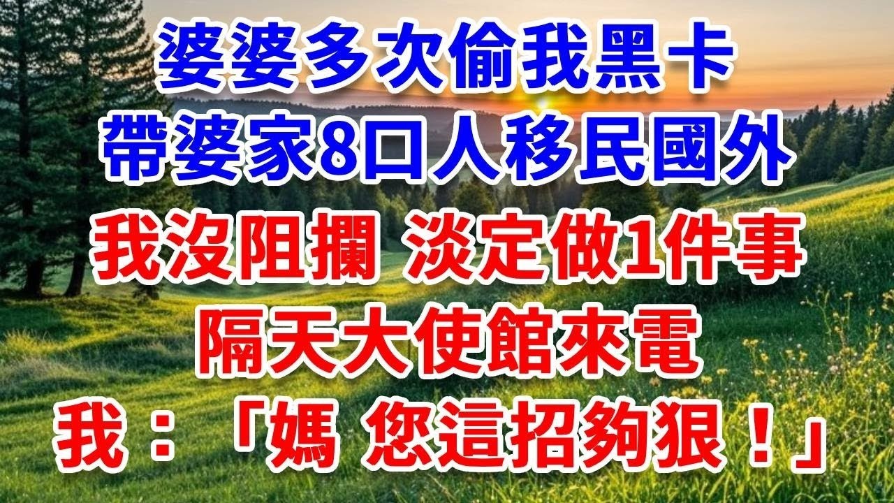 婆婆多次偷我黑卡 帶婆家8口人移民國外，我沒阻攔，淡定做1件事，隔天大使館來電，我對媽媽說：媽，您這招夠狠！#詩涵講故事#為人處世#生活經驗#情感故事#晚年哲理#說故事#完結文#原創故事