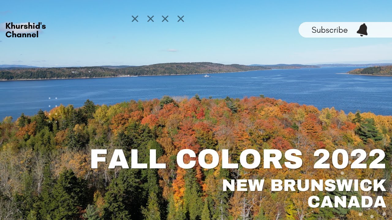 Fall Color | Leaf color  | Saint John | New Brunswick  | Canada
