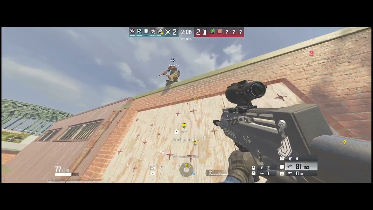 R6 LOONEY TOONS