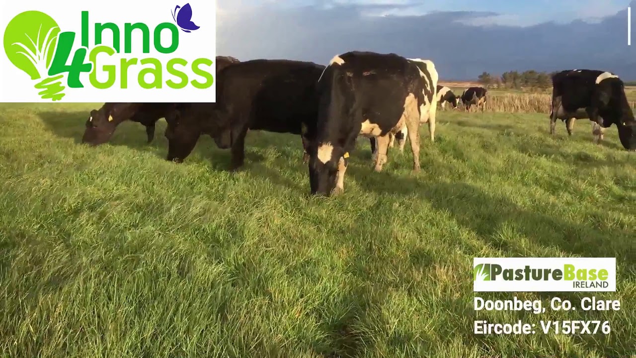 Managing Grass on Heavy Soils