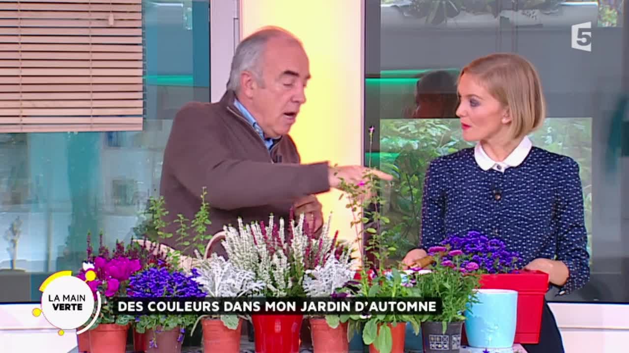 Des couleurs dans mon jardin d’automne