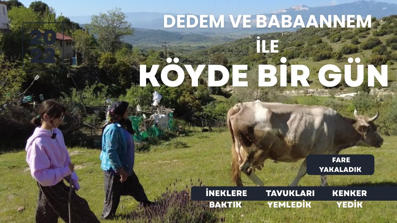 KÖYDE BİR GÜN / DEDEM VE BABAANNEMLE KÖYDE BİR GÜN GEÇİRDİM