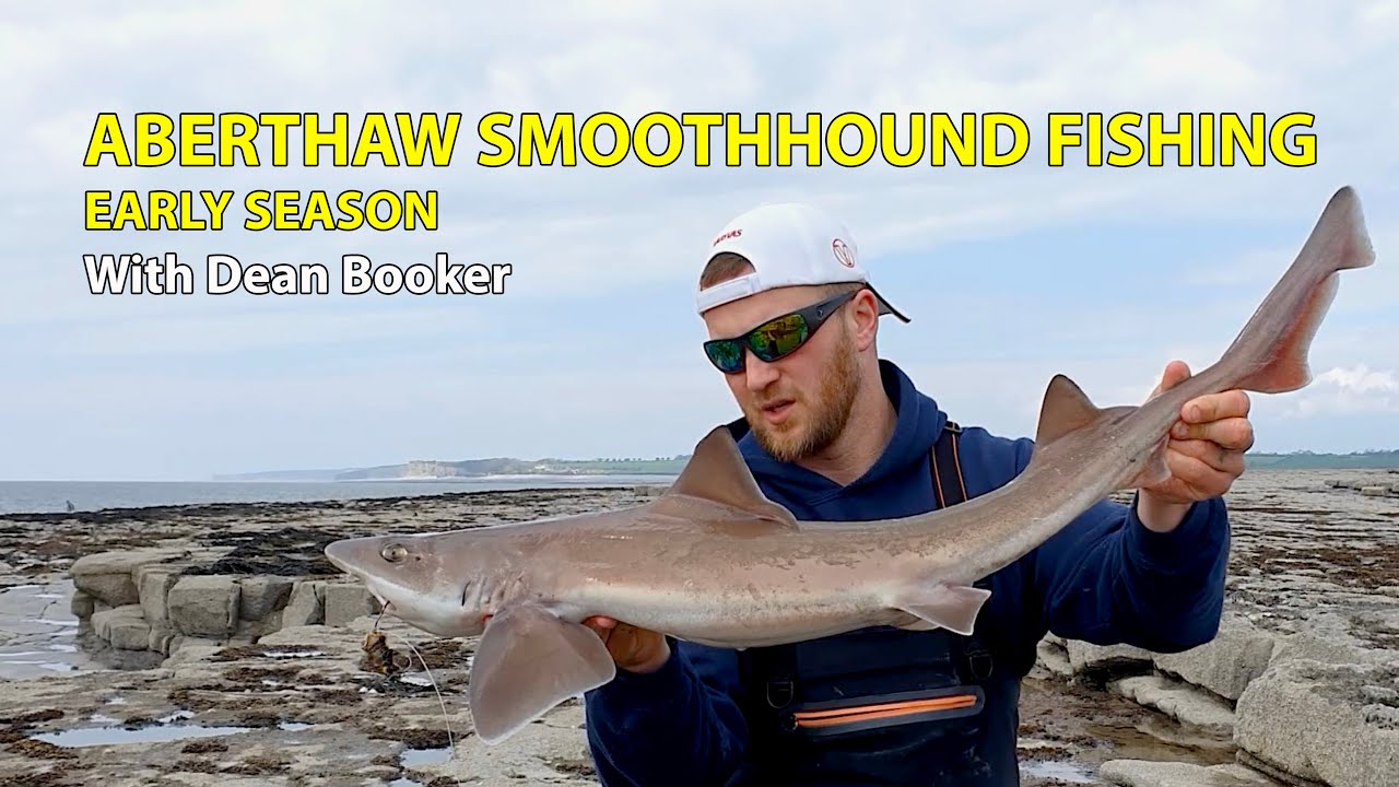 Aberthaw Smoothhound Fishing- Early Season With Dean Booker